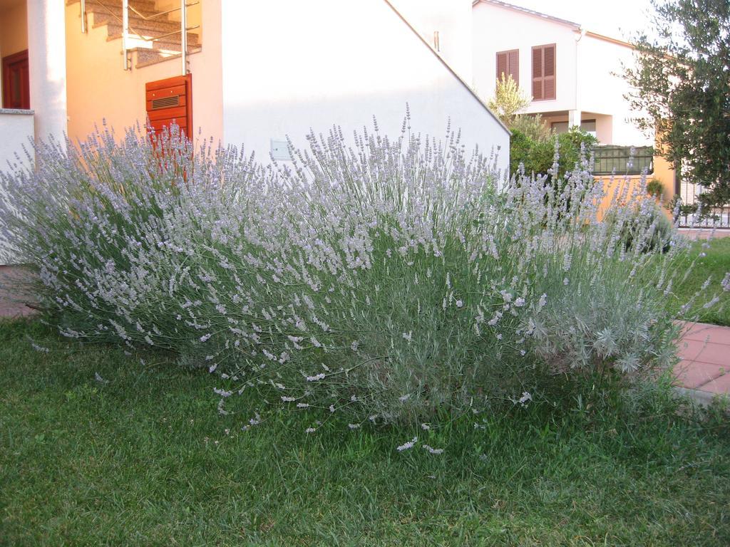 Apartments Blandona Biograd Na Moru Exterior foto